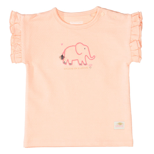 Md.-T-Shirt