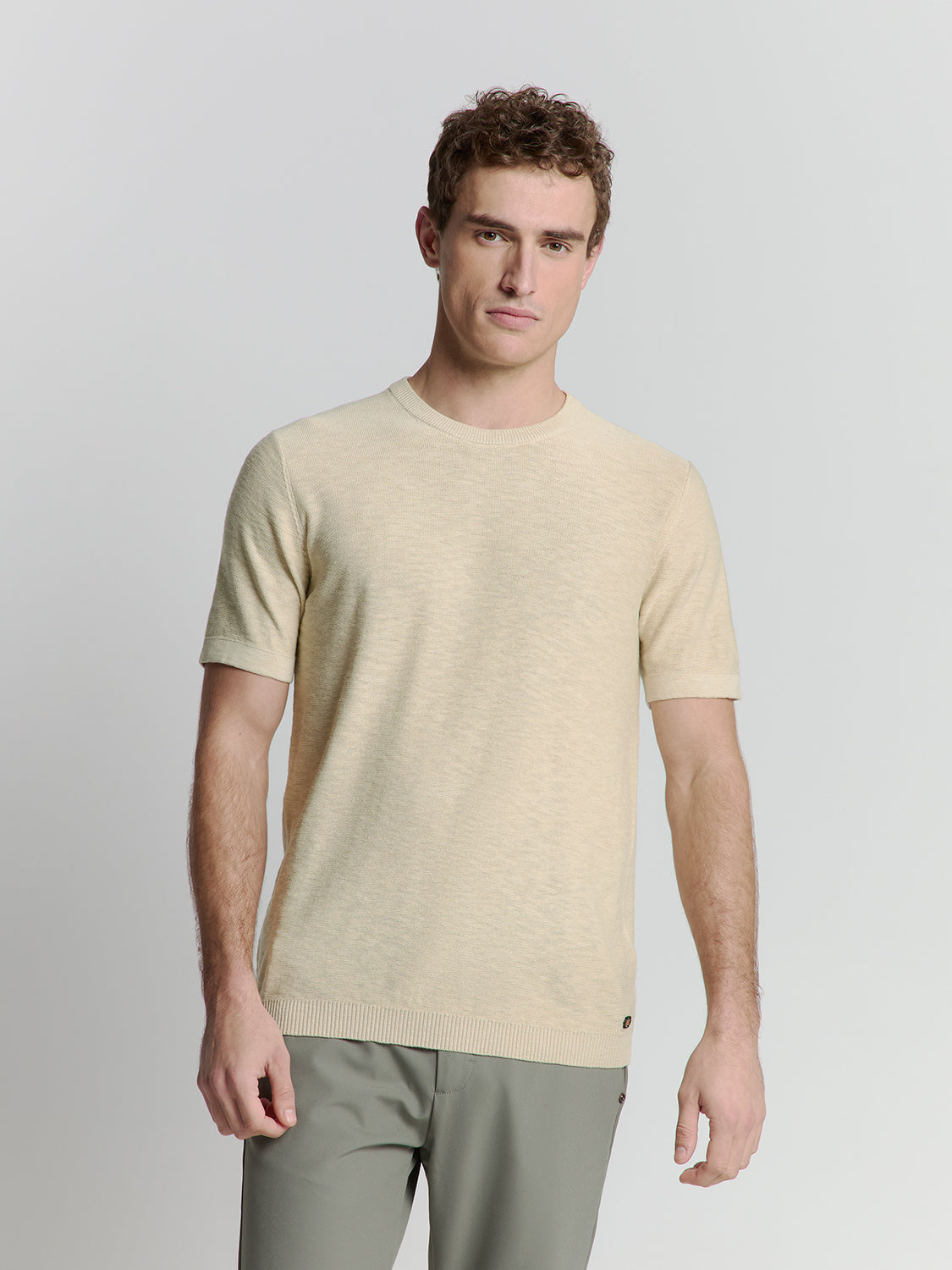 Pullover Short Sleeve Crewneck Solid Slub Knit