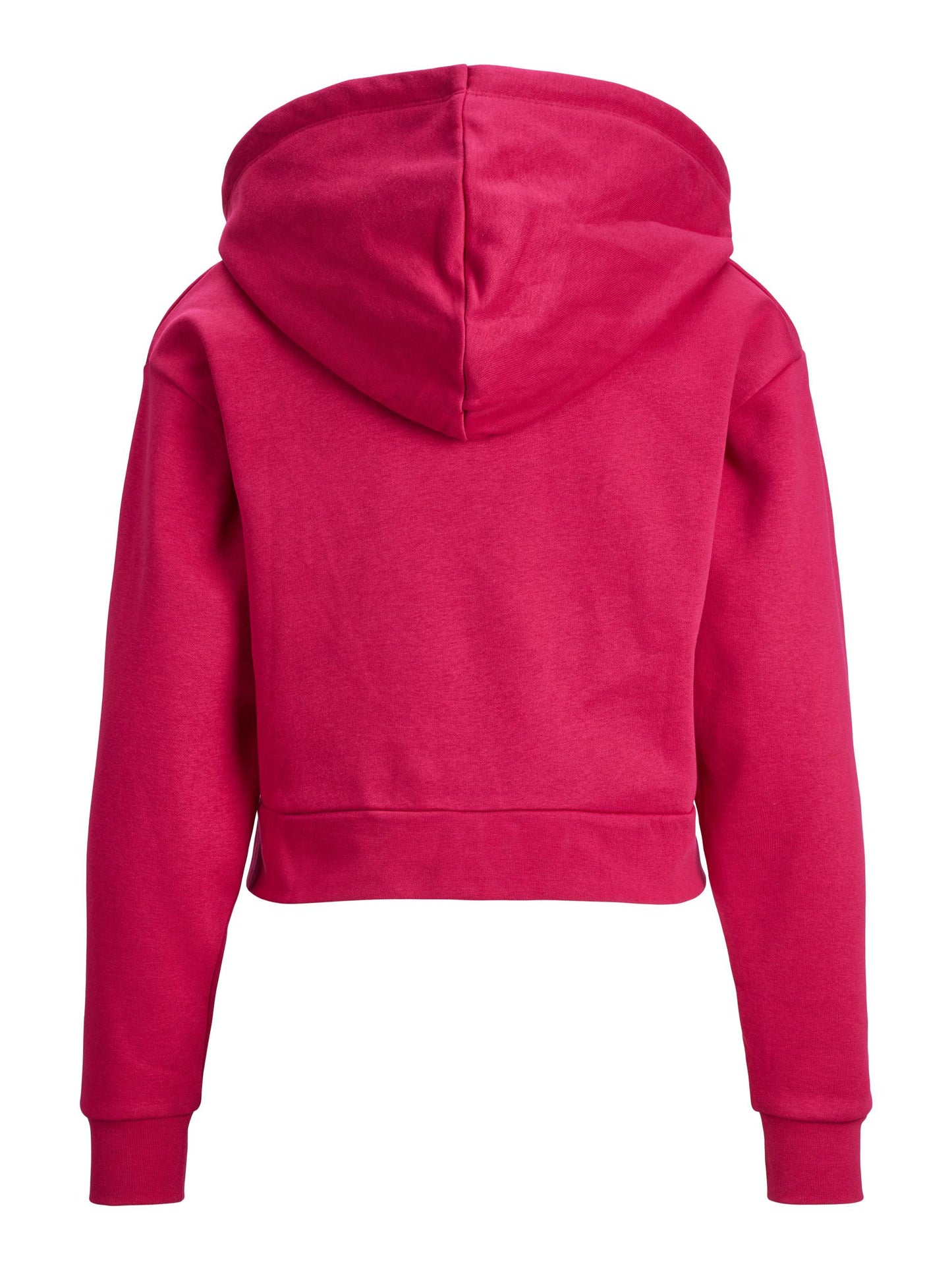 JXABBIE REG LS EVERY ZIP HOOD SWT NOOS