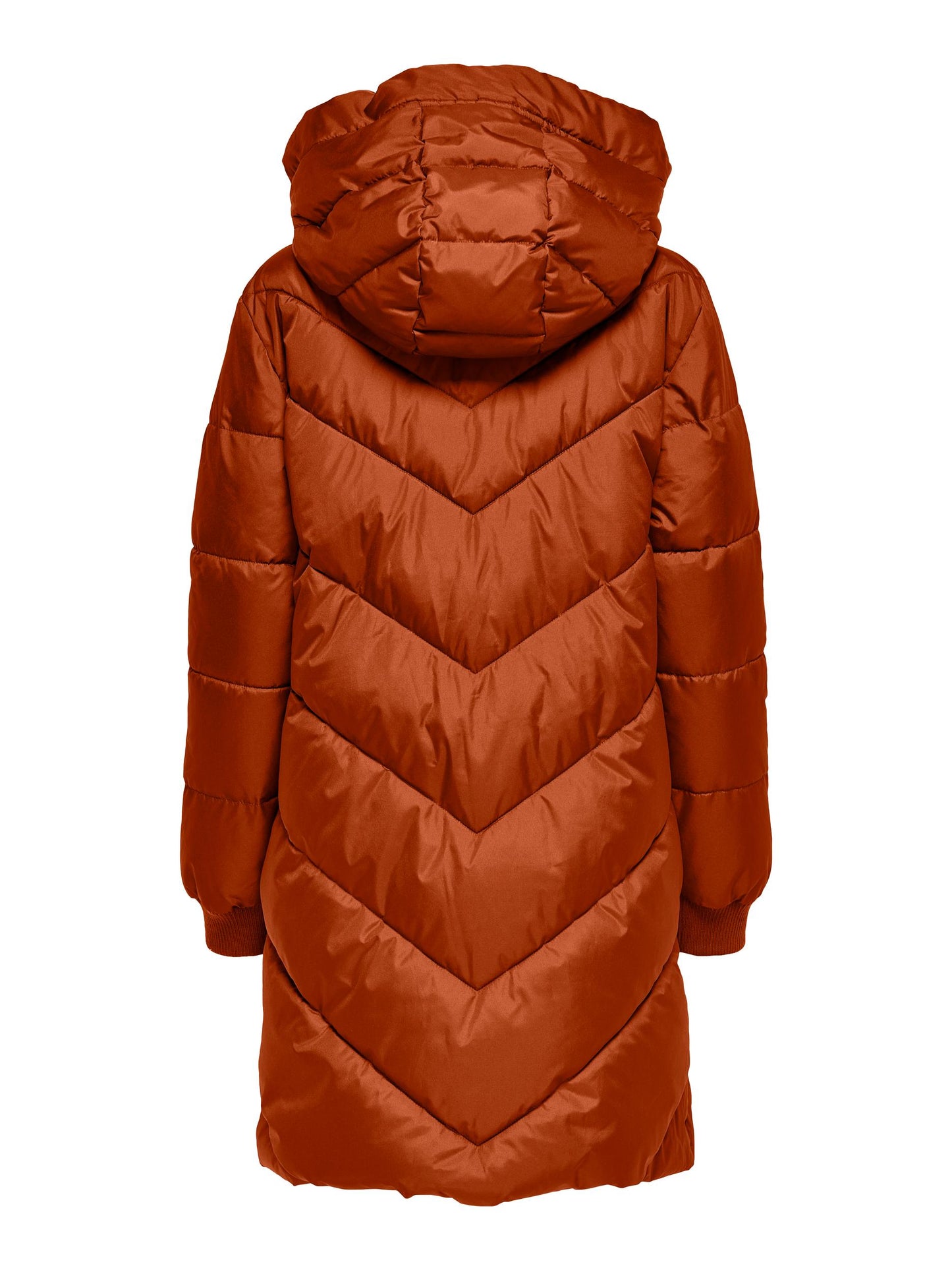 JDYSKYLAR PADDED HOOD JACKET OTW NOOS