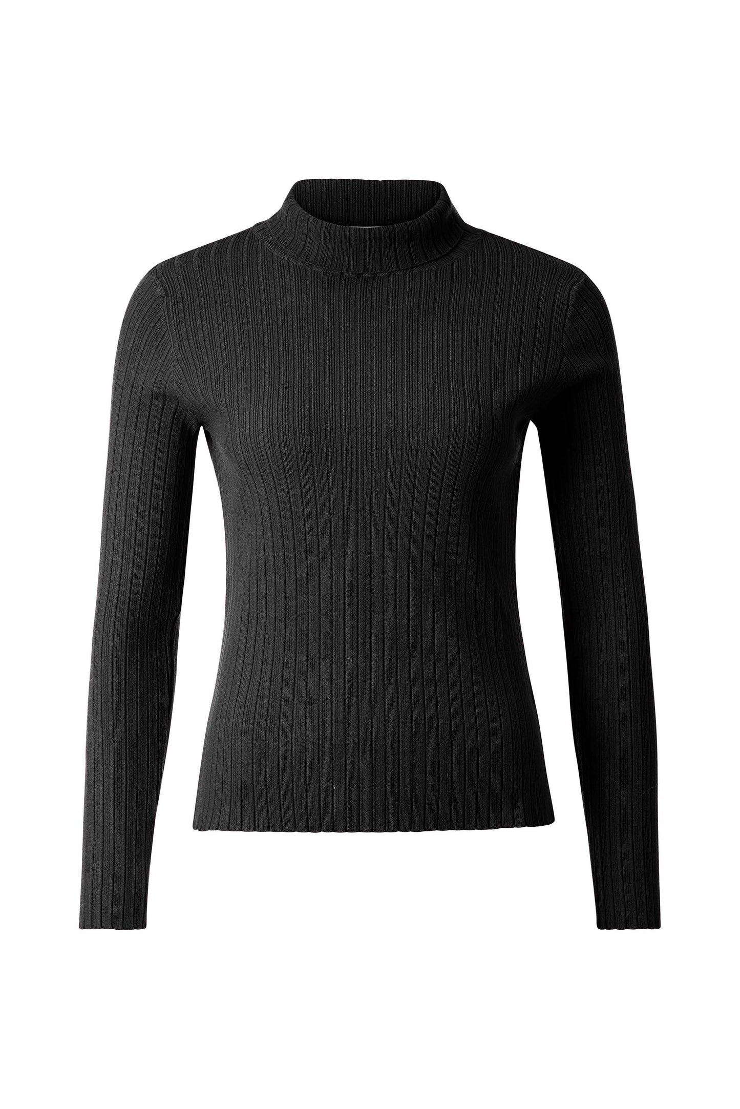 Turtle neck rib knit